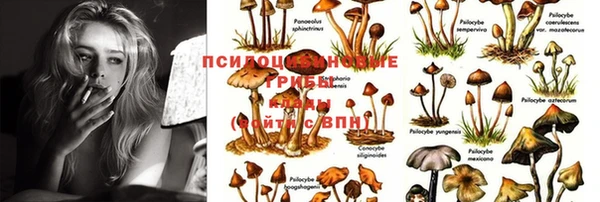 скорость Зеленокумск